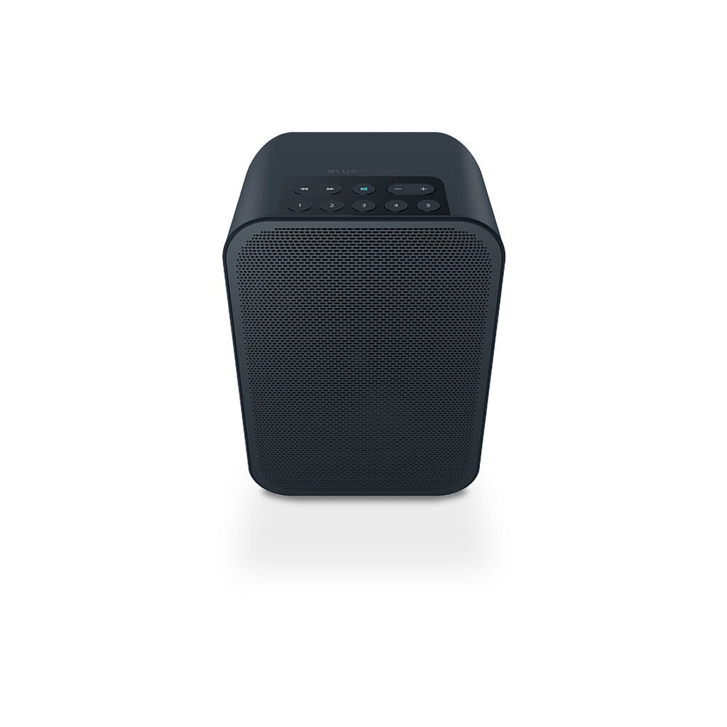 Bluesound PULSE FLEX 2i